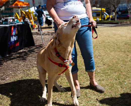 03242019 MUTTS 012.JPG