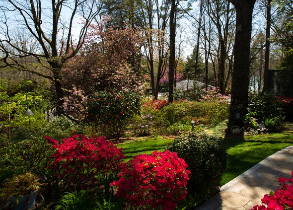 04052019 GARDEN 005.JPG