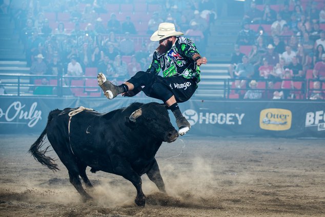 06272019 BULL 2.jpg